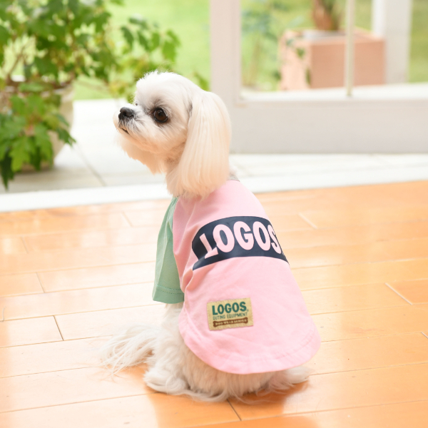 【メール便送料無料】【2021春夏新作】LOGOS（ロゴス）クレイジーTシャツ