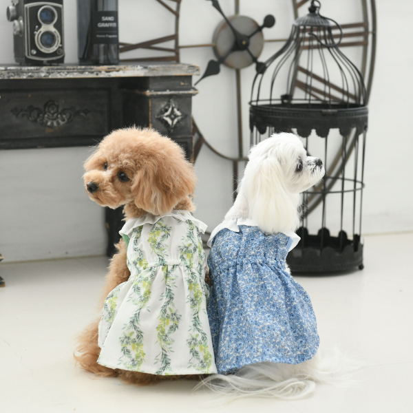 ローラアシュレイ　LAURA ASHLEY スカーフ　青　ブルー