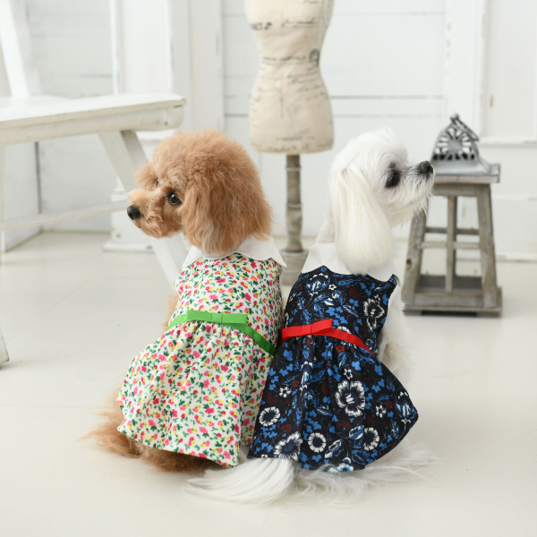 【メール便送料無料】【2021春夏新作】LAURA ASHLEY(ローラアシュレイ) リボンベルト ワンピース