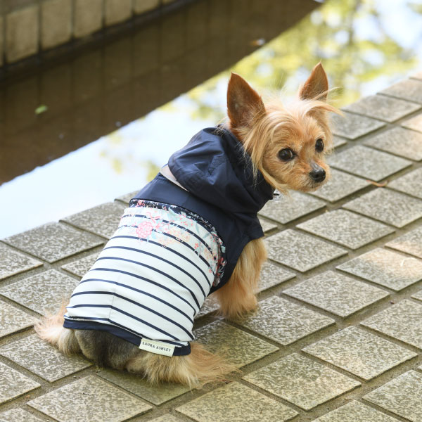 小型犬専門ペット用品の店 Aloha ʻohana / 2L(5~7kg/ミニチュア 小型犬専門ペット用品の店 Aloha ʻohana / 2L(5~7kg/ミニチュア